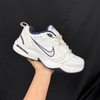 SZ41 Nike Air Monarch IV 'White Navy' 415445-102 035404