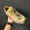 SZ42 SALOMON XT-6 Gore-Tex 'Antelope Portabella' 475810 125998