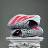 SZ43,3 adidas Adizero Adios Pro 4 'Silver Metallic Lucid Red' JR6372 076560