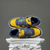 SZ41 Nike Terminator Low 'Michigan' FJ4206-700 076149