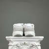 SZ45 Nike SB Force 58 'Platinum Tint Wolf Grey Summit White Monarch' DV5477-007 076766
