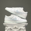 SZ44 Nike Dunk Low Retro 'White Pure Platinum' DV0831-101 096029