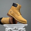 SZ43.5 Timberland 6 Inch Premium Waterproof Boot 'Wheat' 066042