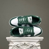 SZ42 Nike Dunk Low 'Michigan State' DD1391-101 086061