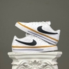SZ40 Nike Court Legacy Next Nature 'White Desert Ochre' DH3162-100 086245