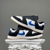 SZ42 Nike SB Alleyoop White Team Royal White CJ0882-104 066169