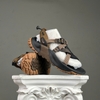 SZ40.5 Nike Oneonta Sandal 'Black Cocao Wow' DJ6601-002 076783