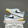SZ42.5 Nike SB Adversary 'Light Dew' CJ0887-300 076692