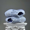 SZ40,5 Nike Pegasus Premium 'Ghost Persian Violet' HQ2592-004 076551