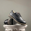 SZ40 Dickies Boots Low Black 163M50LXS32 105007