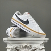 SZ43 Nike Court Legacy Next Nature 'White Desert Ochre' DH3162-100 115035