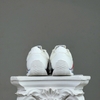 SZ43 Kappa Canvas 