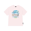 - HỒNG PASTEL