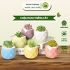 Chậu Mini Trồng Cây Super Farmer – Chậu Sứ Kim Cương Decor Sen Đá Cao Cấp