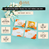 Bao bì đựng bánh trung thu Thỏ Trắng Cam 2in1, 100 túi/sp