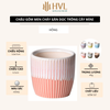 Chậu Sứ Mini Chảy Gân Trồng Sen Đá Decor Super Farmer