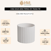 Chậu Hoa Nhựa Giả Gốm Mini – Bình Hoa Decor Siêu Bền Không Lo Rơi Vỡ