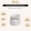 Chậu Hoa Nhựa Giả Gốm Mini – Bình Hoa Decor Siêu Bền Không Lo Rơi Vỡ