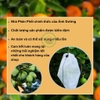 100 Túi Bọc Trái Cây Ổi, Bưởi, Xoài, Na... Nhiều Kích Thước Dùng 3-5 Mùa, Nhiều thương Hiệu - NGUOILAMVUON