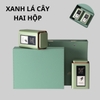 Xanh Lá 2 hộp