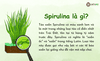 Tảo xoắn Spirulina là gì? Liệu có thần thánh như lời đồn?
