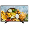 Màn Hình Máy Tính Hikvision DS-D5032QE (31.5-inch FHD)