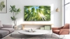 Google Tivi TCL 55P745 4K 55 inch [2025]