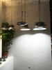 Đèn chiếu nhà xưởng 200W, hãng Shylon SL0181-2