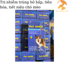 vmd-pet-amox-plus-cho-meo-nhiem-trung-duong-ho-hap-tieu-hoa-tiet-nieu-sinh-duc