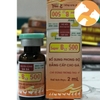 thuoc-tang-luc-ga-da-super-b12-500-2ml