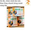 vmd-effervita-amino-10-vien-ga-da-chim-canh-tang-trong-dai-suc-chim-canh-bong-mu