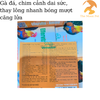 vmd-effervita-amino-10-vien-ga-da-chim-canh-tang-trong-dai-suc-chim-canh-bong-mu