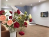 Homestay Lotte Vũng Tàu