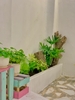 Nhà phố Lương Văn Can