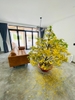 PD Villa Lagi ( Bình Thuận- Mũi Né )