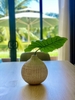 Villa 012 - RESORT COASTAR HỒ TRÀM