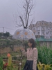 CHILL HOUSE ĐÀ LẠT