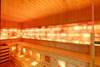 VILLA PD LUXURY NHA TRANG (R27)