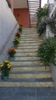 VILLA PD LUXURY NHA TRANG (B11)