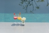 VILLA PD LUXURY NHA TRANG (R20)