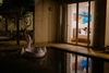 Villa 7 Phòng ngủ Sát Biển
