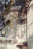 CLASSIS VILLA ĐÀ LẠT