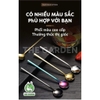 Thìa muỗng cà phê | Inox mạ vàng | Inox mạ bạc