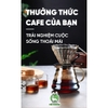 Bình pha cà phê V60  | Dung tích 600ml và 800ml