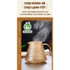 Bình pha cà phê V60  | Dung tích 600ml và 800ml