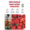 Dâu tây sấy giòn THE GARDEN | Túi 500GR