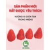 Dâu tây sấy giòn THE GARDEN | Túi 500GR
