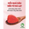 Dâu tây sấy giòn THE GARDEN | Túi 500GR