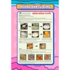 Set Nguyên Liệu Làm Bánh Bông Tuyết THE GARDEN thành phẩm 40 viên