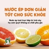 Máy Vắt Cam THE GARDEN TG-40 – Dung tích lớn 1.2L, Có Hai Đầu Vắt Lớn – Nhỏ, Công Suất 40W, Vắt Kiệt Nước